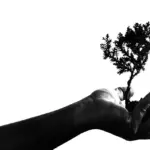 15 ting, du altid bør have i håndbagagen