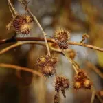 70 15 01 01 - Hvad er formålet med opkaldet?