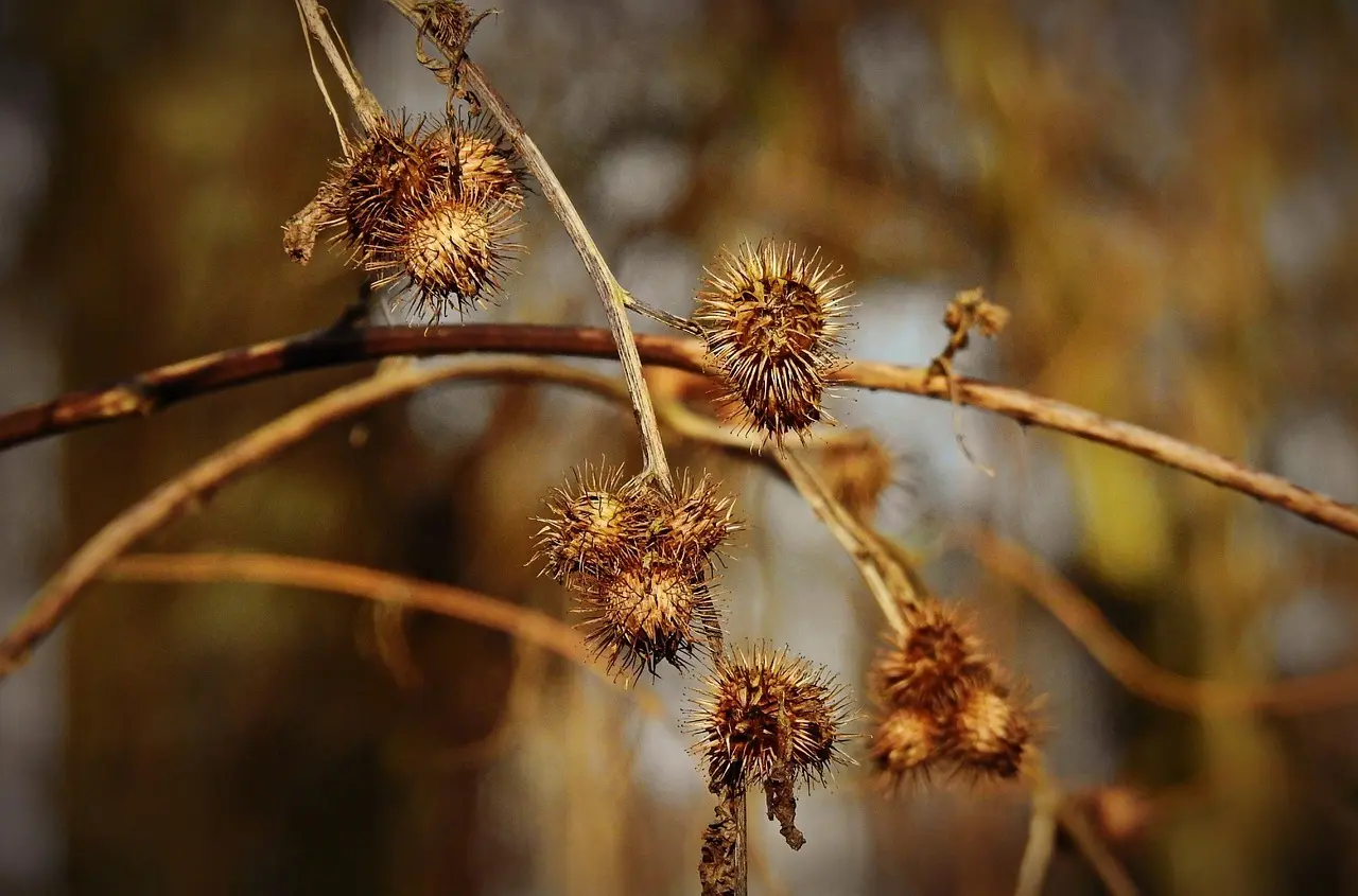 70 15 01 01 - Hvad er formålet med opkaldet?