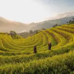 9 uventede steder til solnedgang på Santorini