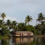 Backwaters i Kerala fra en husbåd i monsunregn