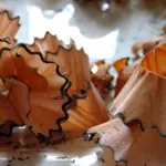 Dyster i krydsord løsningsord