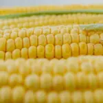 Svar på Foretagende Krydsord